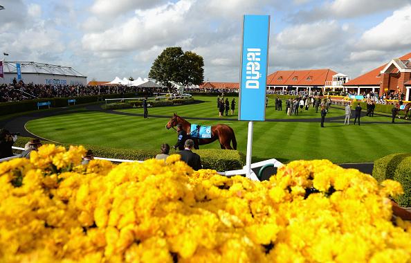 The progressive filly Mehronissa lines up at Newmarket on Friday evening